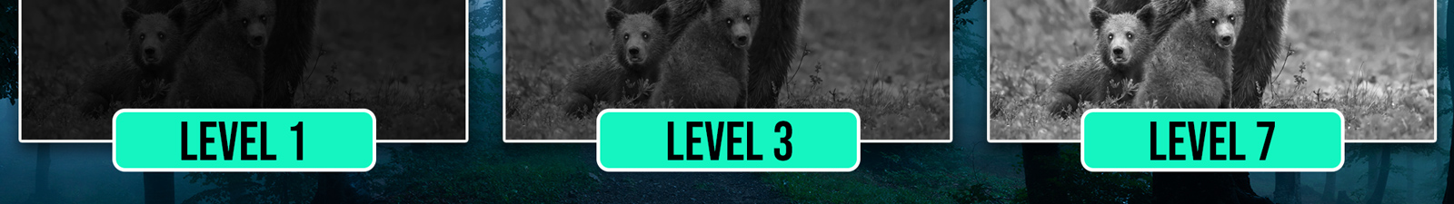 DarkForce IR levels 3